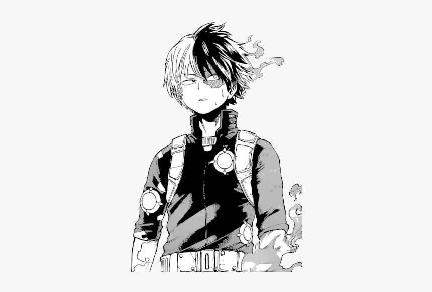 Todoroki Manga