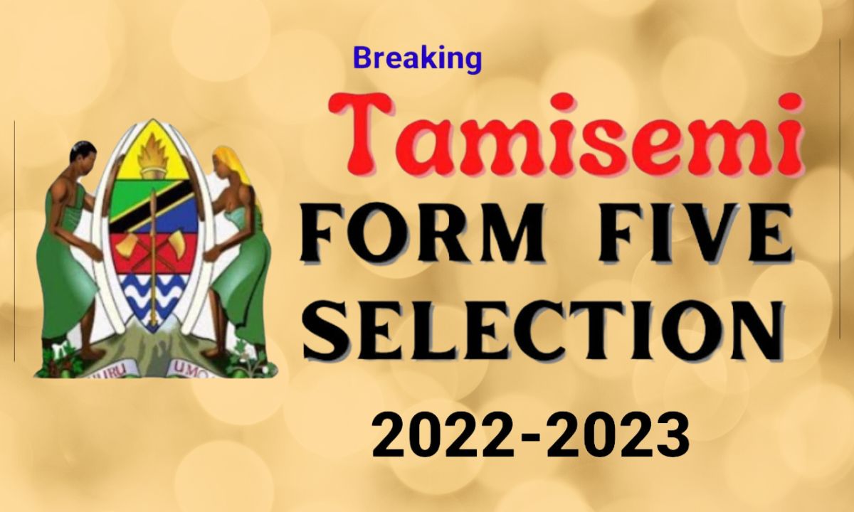 Tamisemi Selection Form Five 2023